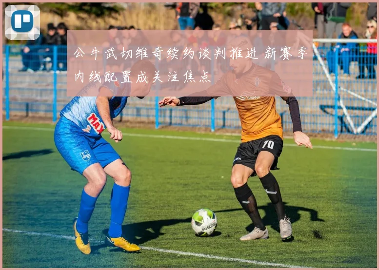 公牛武切维奇续约谈判推进 新赛季内线配置成关注焦点