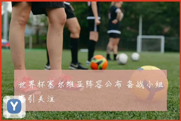 世界杯塞尔维亚阵容公布 备战小组赛引关注