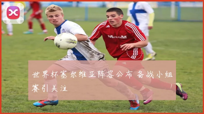世界杯塞尔维亚阵容公布 备战小组赛引关注