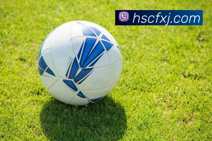 世界杯平台官网登录平台生态图